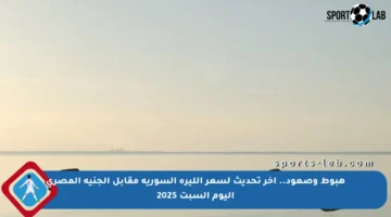 هبوط وصعود.. آخر تحديث لسعر الليرة السورية مقابل الجنيه المصري اليوم السبت 2025